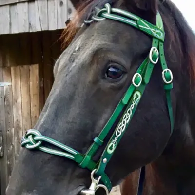 PU Leather Horses Bridle Halters Comfortable Metal Buckle Horse Rein Harness Durable Adjustable Horse Head Curtain