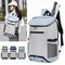 Tennis Racket Backpack Professional Badminton Sports Bag Holds 2 Rackets Large Capacity Gym Pack For
