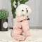 Pet Supplies Four-Legged Raincoat Waterproof Clothing for Spring and Summer Complete Package for