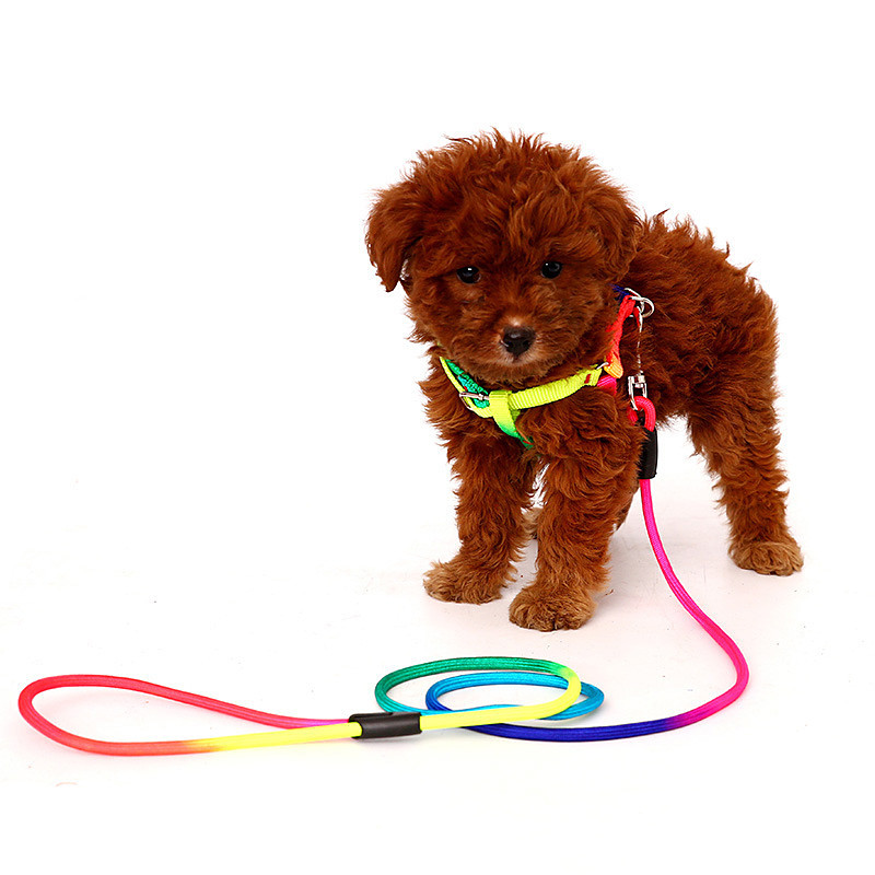 Dog Colorful Traction Rope Colorful Nylon Rope Pet Chest Strap Traction Rope Pet Supplies