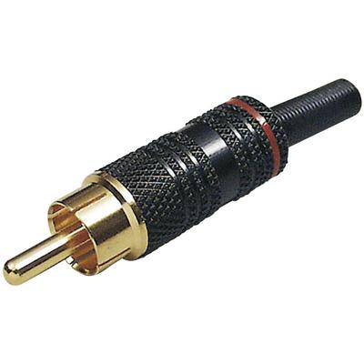 Bkl Electronic - 0101013 Cinch-Steckverbinder Stecker, gerade Polzahl: 2 Weiß 1 St. Image