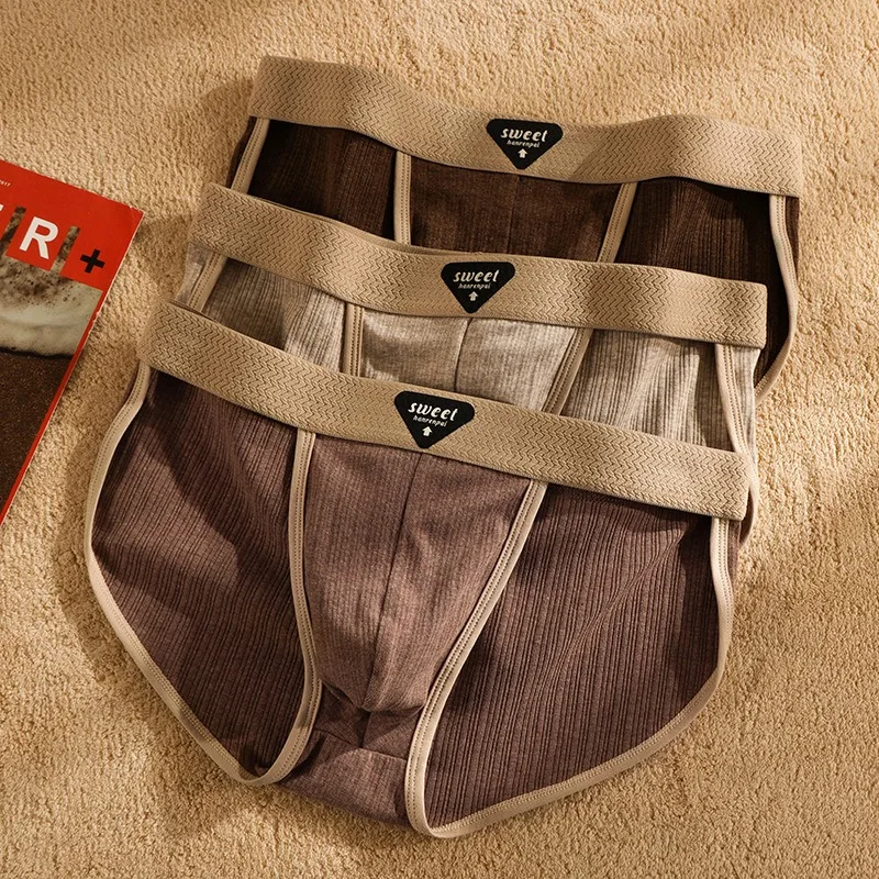 3 pièces caleçon homme, caleçon homme coton, sous vêtements homme, caleçons pour hommes solides culottes en coton pour hommes slips été respirant confort sous-vêtements pour hommes Shorts respirants