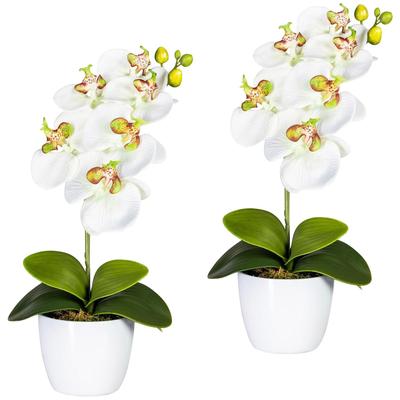 Kunstpflanze CREATIV GREEN "Orchidee Phalaenopsis", grün (weiß, grün), H:40cm, Polyester, Kunststoff, Kunstpflanzen, im Keramiktopf Image
