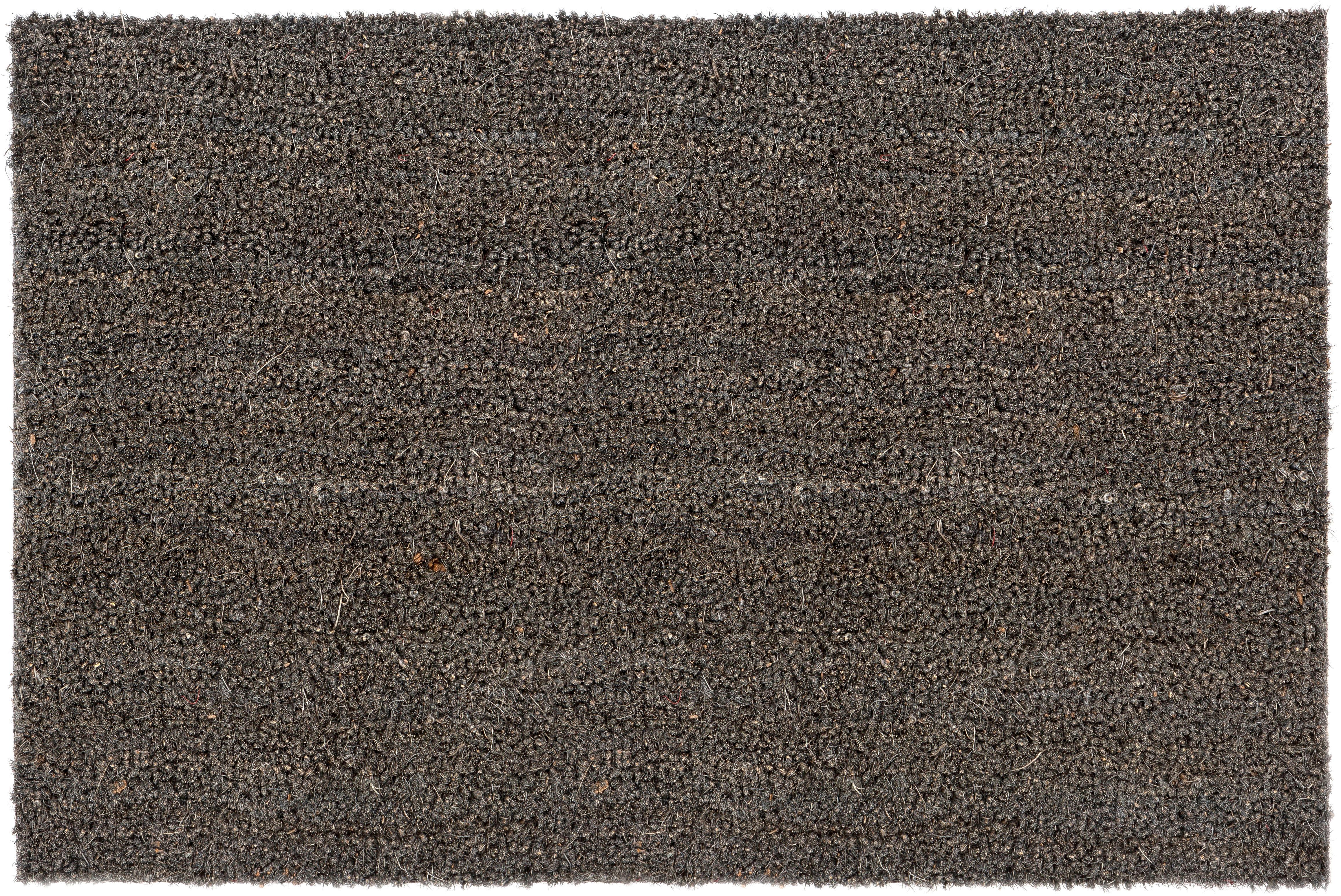 Fußmatte ASTRA "Kokosvelours 106" Gr. 16, grau, B:50cm H:16mm L:80cm, Kokos, Teppiche, Schmutzfangmatte, Kokosmatte, In -und Outdoor geeignet Image