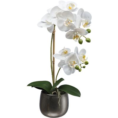 Kunstorchidee CREATIV GREEN "Orchidee Phalaenopsis", weiß, H:48cm, Kunststoff, Kunstpflanzen, mit real-touch-Blüten Image