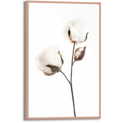Poster REINDERS "Baumwollzweig", schwarz (farbe bild(er): schwarz, weiß), B:20cm H:30cm T:1,6cm, MDF, Bilder Image