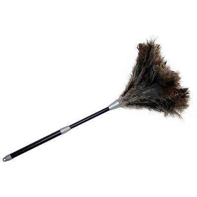 Staubwedel MAXIMEX "Straußenfeder Staub-Magnet", schwarz (schwarz, natur), B:20cm H:81cm L:20cm, Kunststoff, Staubwischer, Staubbesen mit 100% echten Straußenfedern, ausziehbarer Teleskopstiel Image