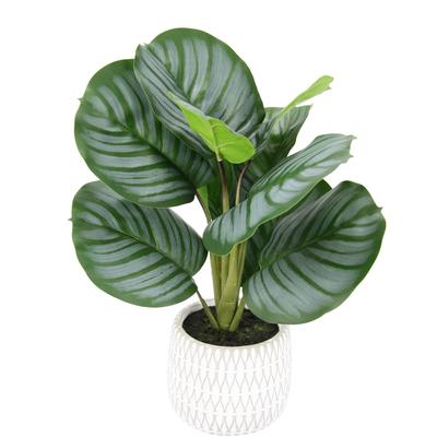 Kunstpflanze I.GE.A. "Maranthus", grün, B:32cm H:43cm L:24cm, Kunstpflanzen, Künstliche Korbmaranthe Galathea Medaillon Kunstpflanze Efeutute Image