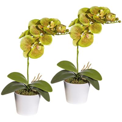 Kunstpflanze CREATIV GREEN "Orchidee Phalaenopsis", grün, H:40cm, Polyester, Kunststoff, Kunstpflanzen, im Keramiktopf Image