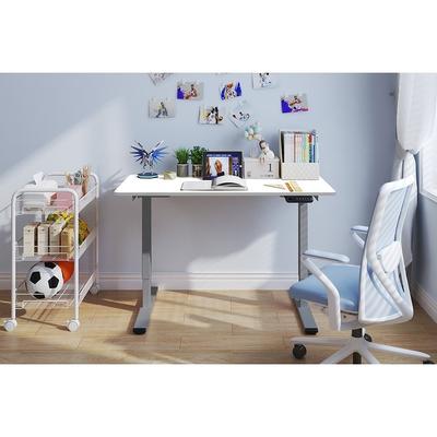 Electric Standing Desk, Dual Motor Adjustable 48x24 Home Workstation
