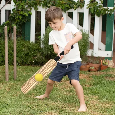 24-Zoll-EVA-Cricket-Set mit Holzmaserung, Schlägerball, Stümpfe, langlebig, leicht, für Kinder, Outdoor, Indoor, Spielaktivitäten, Sport, Fitness, Spielzeug Image