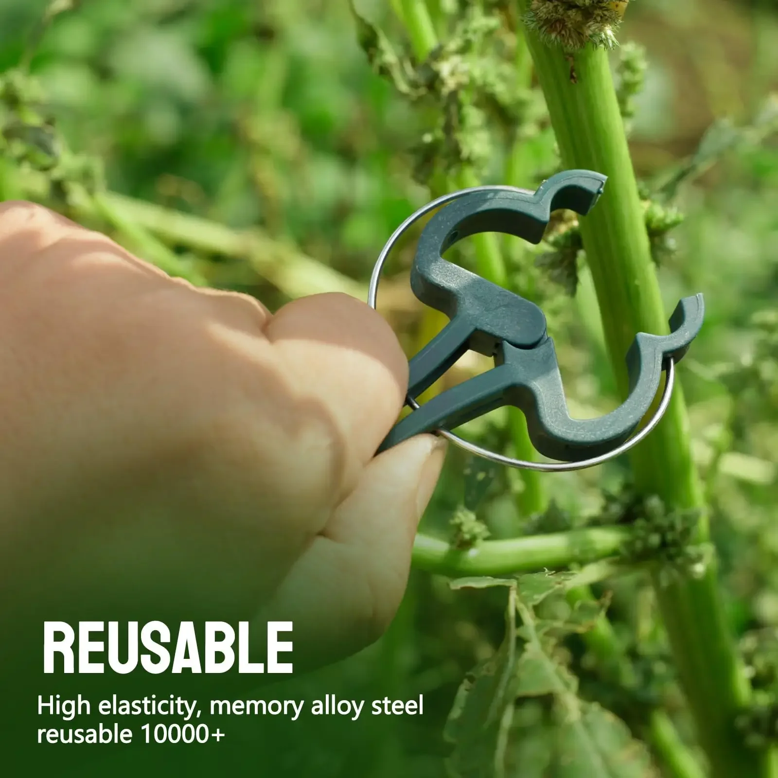 NEUE 20PCS Anlage Clips Wiederverwendbare Gewächshaus Halterung Für Feste Pflanzen Reben Blume Sämling Tomaten Unterstützung Garten Liefert Image