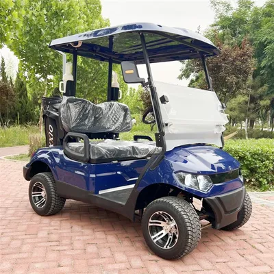 CE Approved 2 Seater Electric Golf Car For Tourist Electric Golf Cart With Golf Bag Holder