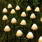 Lumières solaires chaîne champignon pelouse fée lumières LED lampes solaires en plein air pour jardin Patio terrasse chemin paysage décoration lampes Lampe créative lampe ambiance lampe écologique