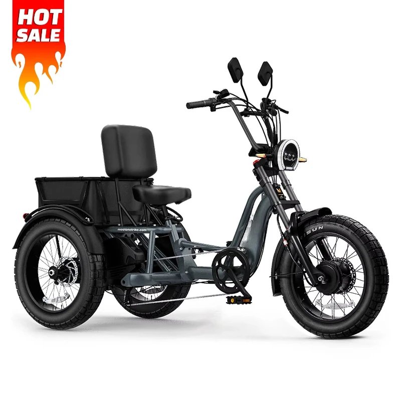 Neuankömmling Langstrecken-Lebensmittelwagen Lieferung Fracht 2400 W elektrisches Dreirad 3 Räder Fahrrad mit abnehmbarer Lithiumbatterie Image