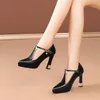 Größe 34–43 Damen-Schuhe in Übergröße, sexy spitze Zehen-Plateau-High-Heel-Schuhe, klobige Absätze