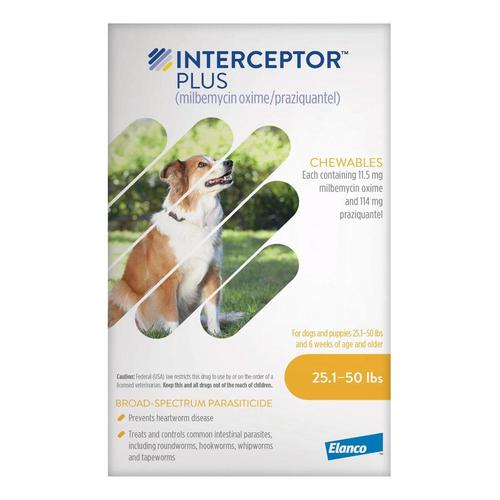 Interceptor Plus à mâcher (Interceptor Spectrum) Pour les chiens de 25,1 à 50 livres (Jaune) 12 croquettes