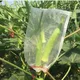 1/5/10pcs Protection Bug Insect for Grape Flower veg Fruit Netting grow bags Garden Tools Storage Against Insect Pest Bird E1