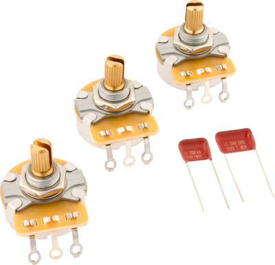 Fender Stratocaster Poti & Cap Kit