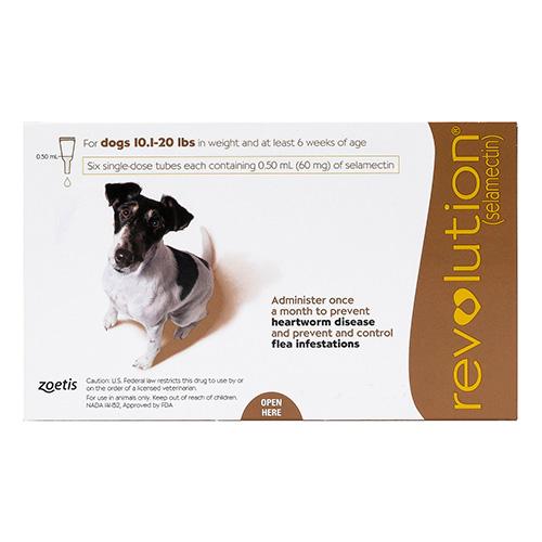 Revolution Pour Petits Chiens 10.1 - 20lbs (Marron) 12 Doses