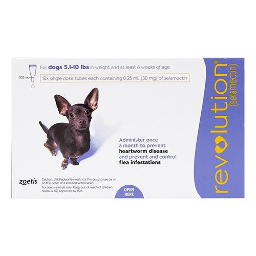 Revolution Very Small Dogs 5.1-10 Lbs (Lila) 6 Dosen