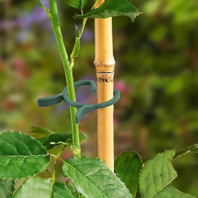 100Pcs Kunststoff Garten Reben Umreifung PP Clips Krawatte Anlage Gebündelt Schnalle Ring Tomaten Weinreben Haken Pflanzen Unterstützung Werkzeuge Image