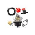 KZQ - Carburateur, Filtre à Carburant et Tuyau de Carburant pour Moteur Tecumseh 640065A 640065,