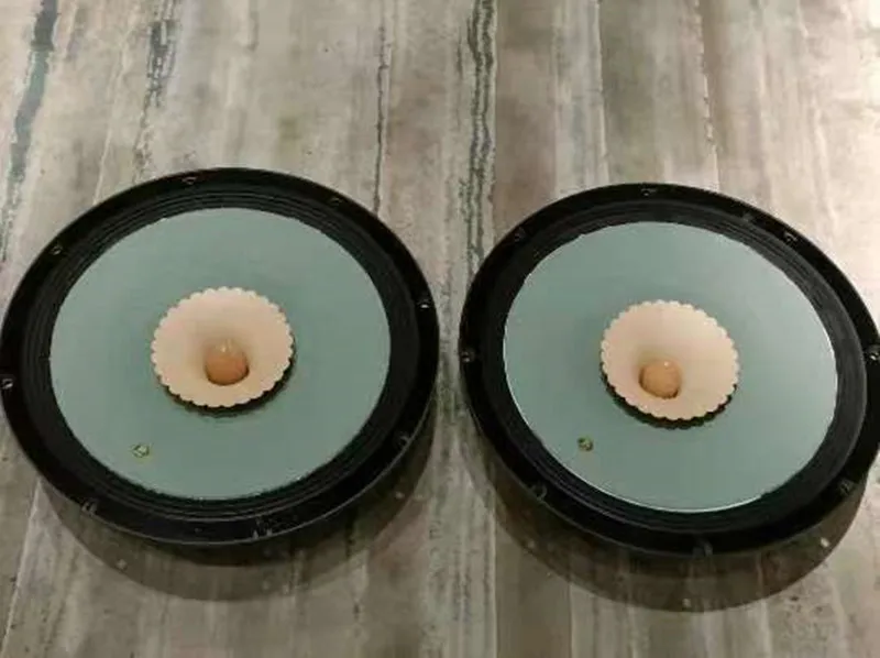 LII AUDIO F21 2025 Neuer 21-Zoll-Breitbandlautsprecher Y38 Luft- und Raumfahrtqualität (Ferrite), 150 W/8 Ω (1 Paar) Image