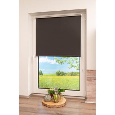 Seitenzugrollo K-HOME "Thermo Klemmfix-Rollo" Gr. 21, schwarz, B:50cm H:200cm, Polyester, Rollos, 1 Stück Image