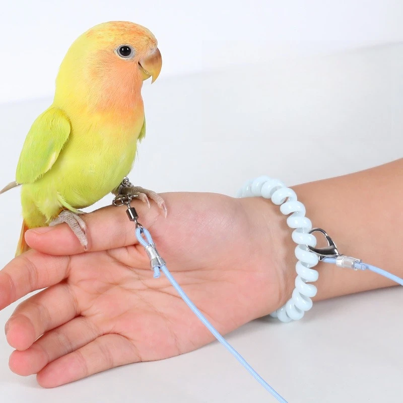 Papageien-Vogel-Fliegen-Trainingsleine, ultraleichtes, flexibles Seil, Anti-Biss-Bein-Ring-Geschirr, Outdoor, Ara, Nymphensittich, Ernährung, Vajina, Vajina, Vajina, Vajina, Daught Image