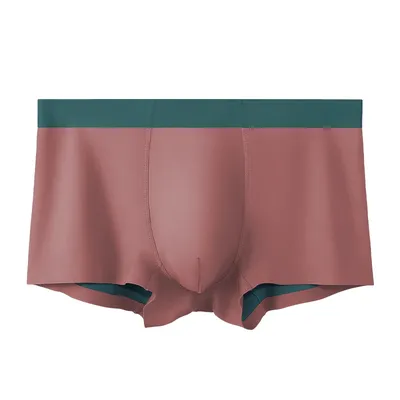 Nahtlose Herren-Unterwäsche aus Eisseide, hochwertige Boxershorts, bequemer Sommer Image