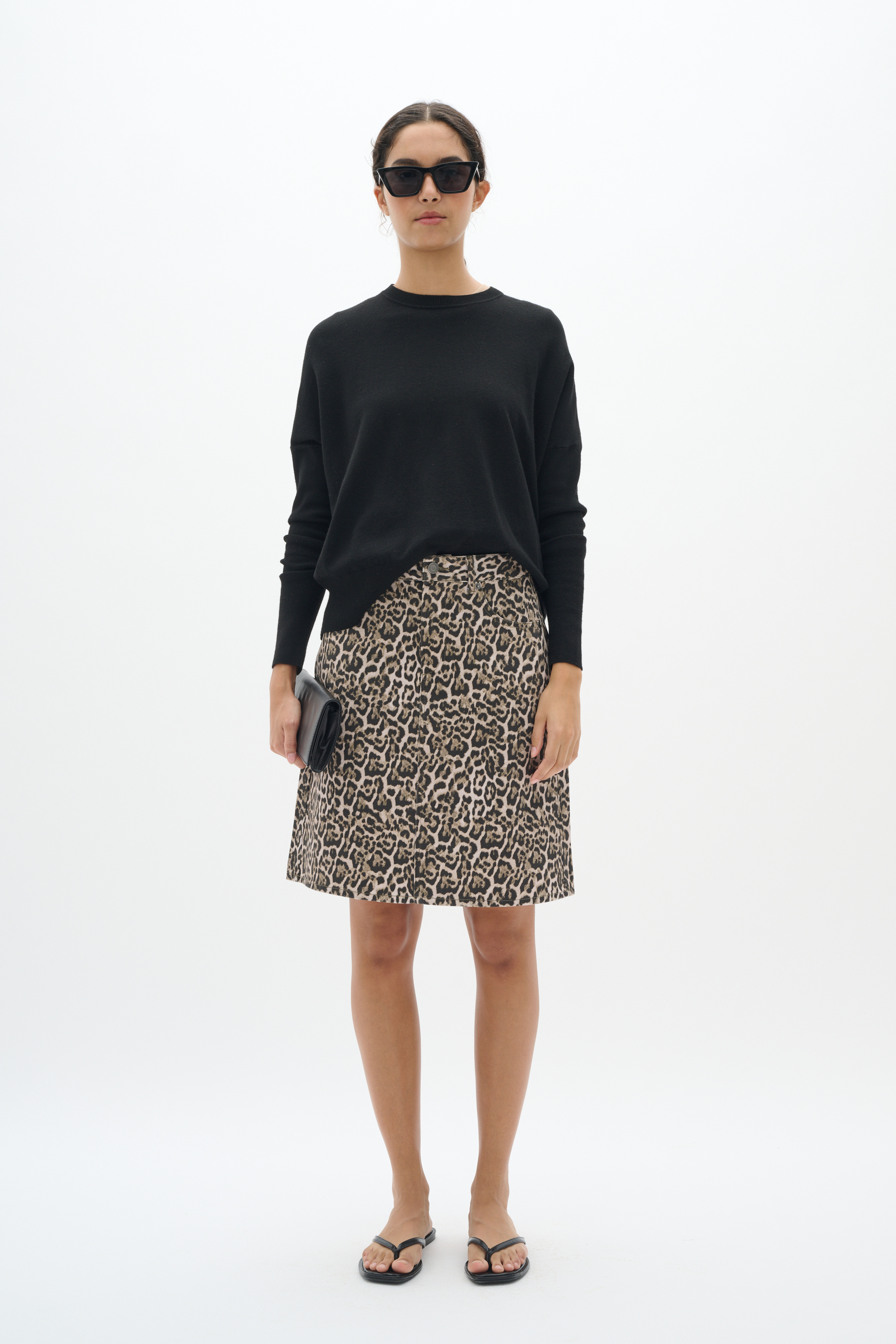 Rock A-shape Classic Leopard animal Image