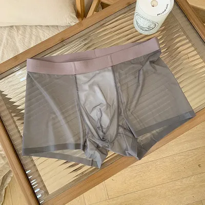 Eis Seide Männer Unterwäsche Nahtlose Transparente Boxer Shorts Sexy Ultra-dünne Atmungsaktive Höschen Männlichen Schnell Trocknend U Pouch Unterhose Image