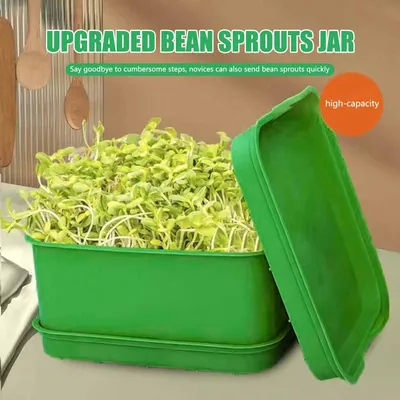 Bean Sprouting Basin Bean Sprouts Plants Seedling Pots Plastic Bean Sprouts Mung Bean Sprouts