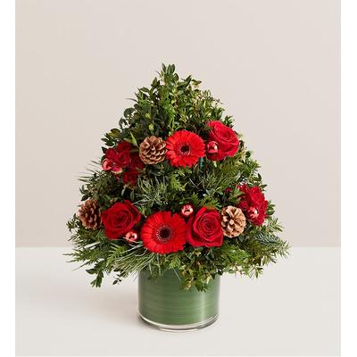 1-800-Flowers Seasonal Gift Delivery Crimson Christmas Tree Small