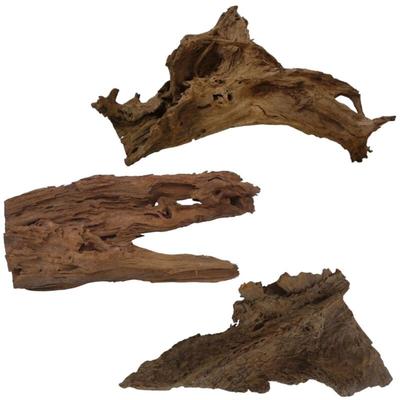 Xl Mangrovenwurzel 1 Stück 70-80 cm Holz Deko Aquascaping Image