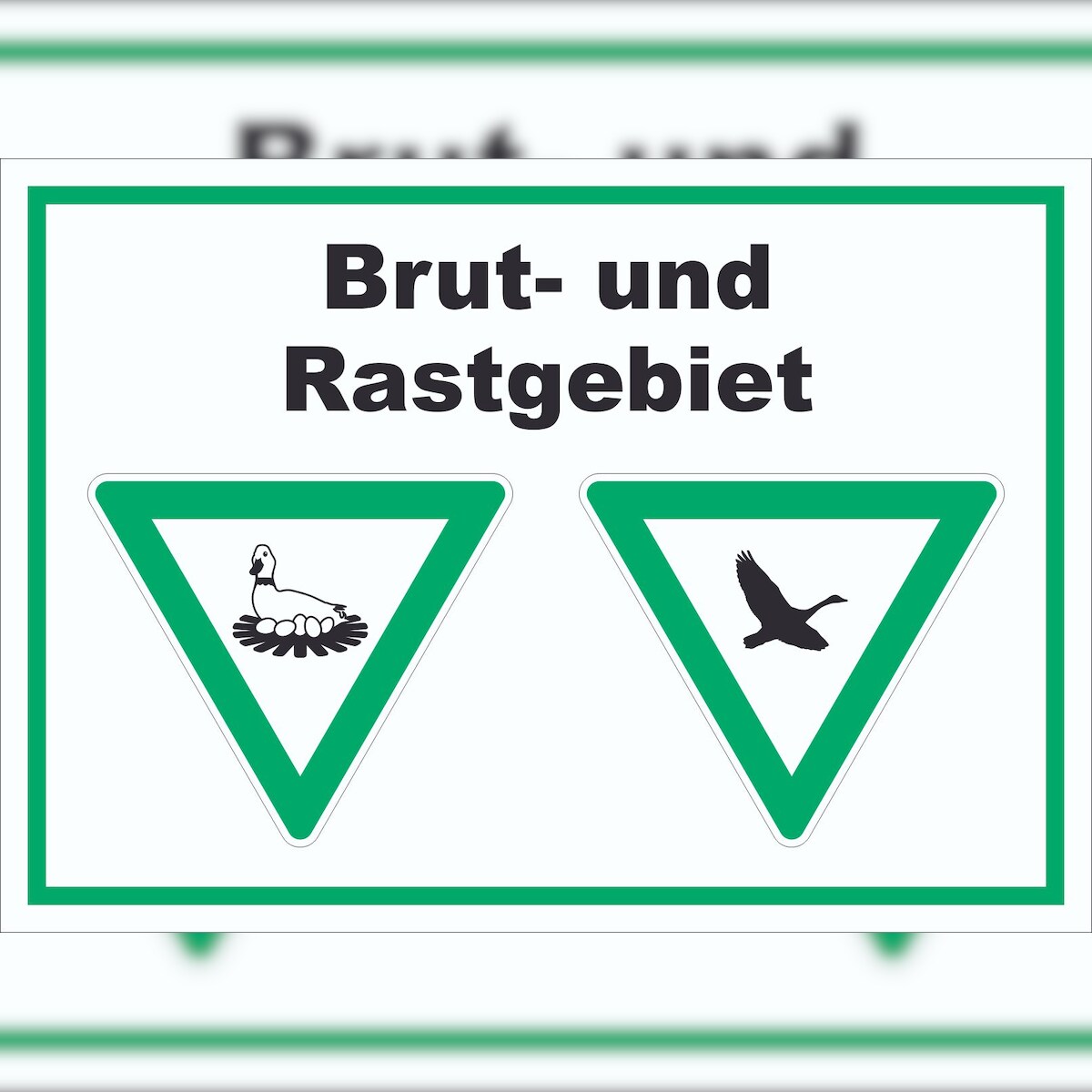 HB-Druck Brut- und Rastgebiet Schild A2 Rückseite selbstklebend Image