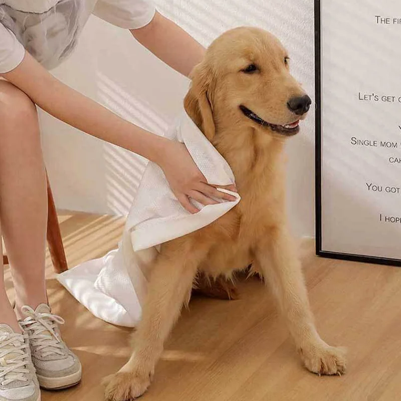 10 Stück Einweg-Haustier handtücher, große dicke Hunde-und Katzen tücher, saugfähige Handtücher Image
