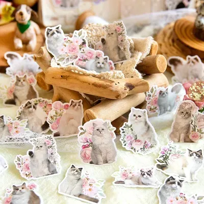 Sticker-Set mit Katzen-Welt-Serie, 45 Stück, 6 Rassen, realistisches Katzen-Tagebuch-Dekor Image