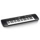 Casio CTK-240 Keyboard mit 49 Standardtasten, schwarz