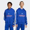 Kapuzensweatshirt ADIDAS SPORTSWEAR "J TIRO FL HDD", Kinder, Gr. 128, blau (semi lucid blau), Obermaterial: 70% Baumwolle, 30% Polyester, sportlich, Sweatshirts