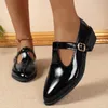 2025, frühling T-Strap Dicke Heels Pumps Frauen Vintage Spitz Med Ferse Mary Jane Schuhe Frau Plus Größe pu Leder Schuhe Mujer
