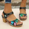 Mode Sommer Frauen Sandalen Outdoor Mischfarben Offene spitze Schuhe für Frauen Chunky Heels Große Größe Rom Elegante Sandalen Frauen