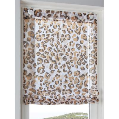 Raffrollo HEINE HOME Gr. 3, braun (weiß, braun), B:80cm H:130cm, Raffrollos Image