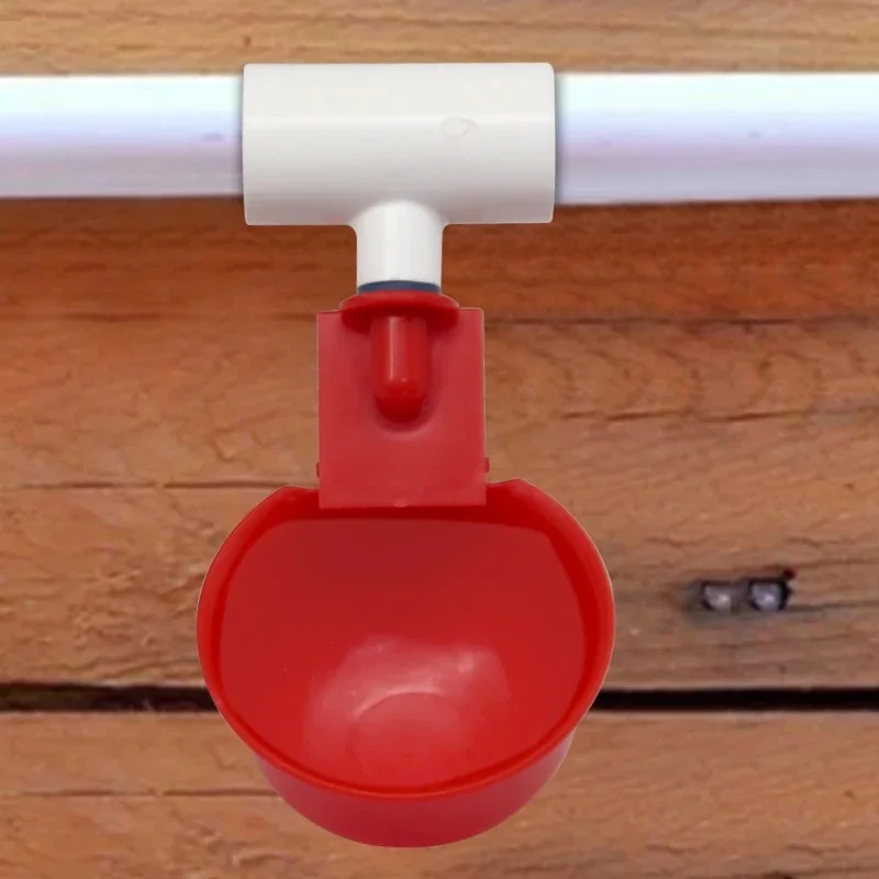 Automatische Hühnertränke Rot Flachkopf-Tränkebecher für Hühner und Enten Automatisches Wasserspender-System