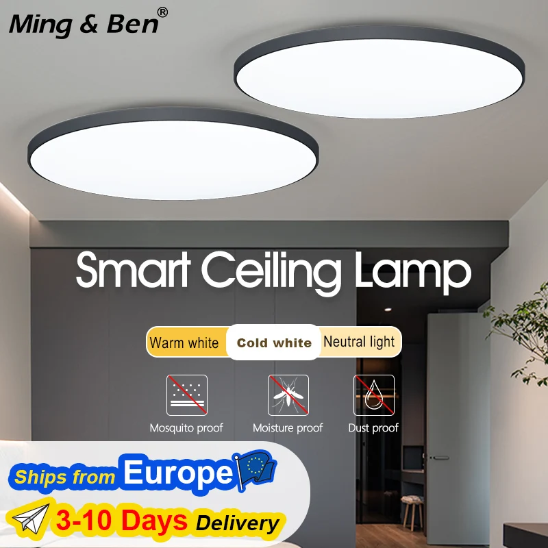 Morden Deckenleuchten, 50 W, dimmbar, APP-Fernbedienung, staub- und feuchtigkeitsbeständig, LED-Deckenleuchte, Wohnzimmer, Schlafzimmer, Badezimmer