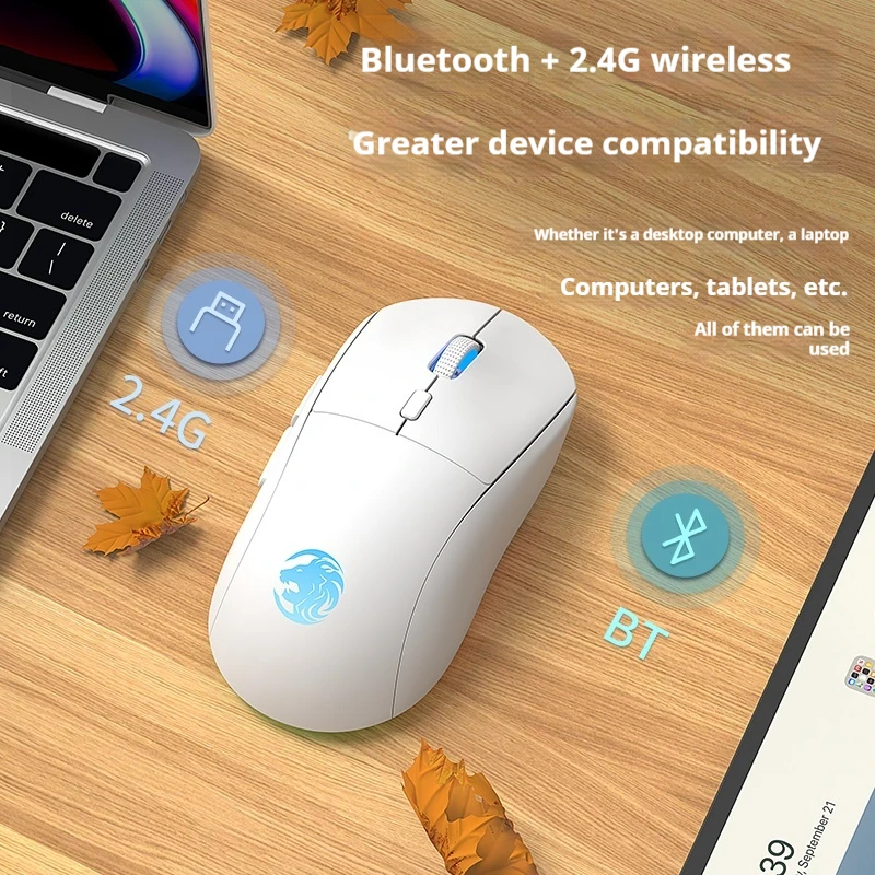 EWEADN G301 drahtlose Bluetooth-Dual-Mode-Gaming-Maus, wiederauf ladbar, leise, ergonomisches Design, perfekt für Spiele und Büro Image