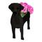 Tlily - Vaso da Fiori per Cani Giardino, Regalo di Compleanno Vasi Cani, Ufficio, Decorazione