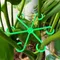 Picchetti di supporto per stelo per piante da fiore Struttura per supporto per piante da appartamento rampicanti Giardino in plastica Senza pali Traliccio Supporto per piante da interno Cerchi per