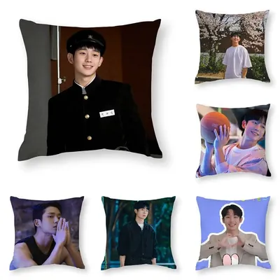 Niedlicher J-Jung H-Hae im Kissenbezug, 3D-Druck, Polyesterfaser, 40 x 40 cm, für Zuhause, Sofa, Dekoration, Festival, Geschenk Image